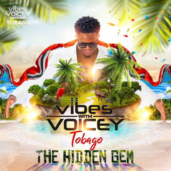 Vibes With Voicey Poster