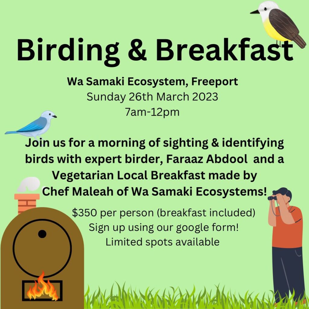 Birding & Breakfast