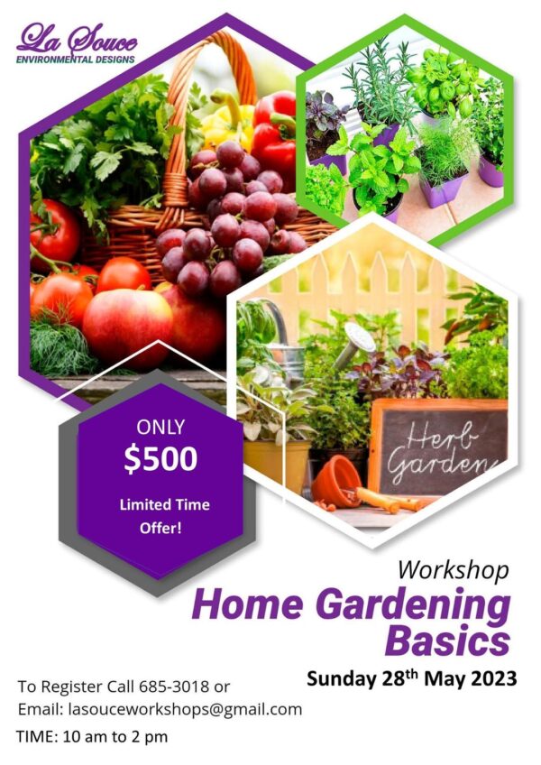 Home Gardening Basics 28 May