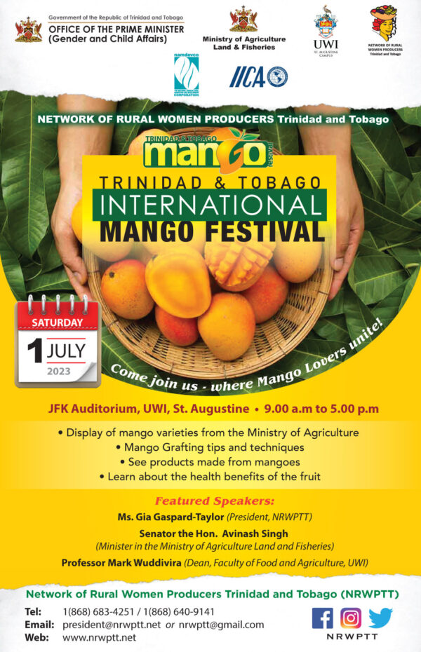Mango Festival Poster